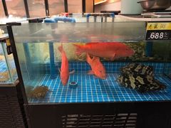 -闽海肴(北辰荟店)