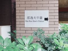 -香港大学