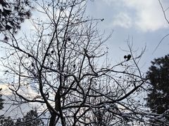 -敬亭山风景名胜区