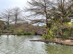 -海珠湖公园