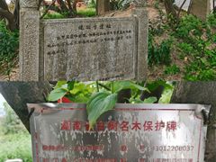 -长沙黑麋峰国家森林公园