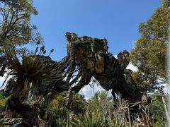 -奥兰多迪士尼动物王国乐园