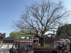 -宁波野生动物园