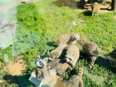 -秦皇岛野生动物园