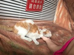 -关东文化园
