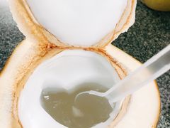 -100蛋泥浆浴