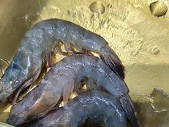 -蜀牛哥·炭火牛肉烤串鲜啤自助(龙泉铂悦山店)