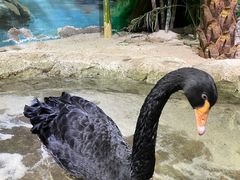 -海合安武汉极地海洋公园