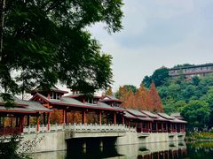 -重庆彩云湖湿地公园