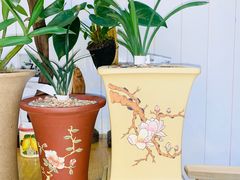 -Rabbit Cafe私房西餐甜点咖啡(栖霞路店)