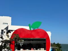 -海岛日记(养马岛店)