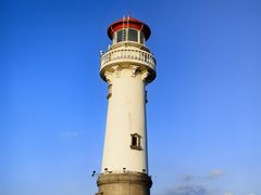 -上海吴淞炮台湾国家湿地公园