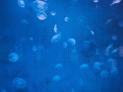 -厦门海底世界