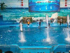 -多彩贵州城极地海洋世界