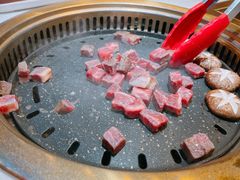 -杨记齐齐哈尔烤肉(总店)