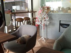 -Poke lemon海鲜波奇饭·柠檬茶(金碧开放小区店)