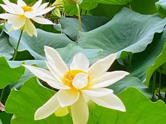 -北京动物园-畅观楼