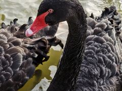 -艾溪湖湿地公园