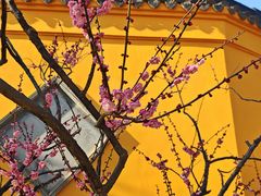 -无锡梅园公园