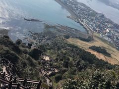 -涉地可支