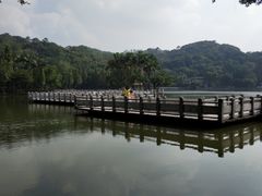 -西樵山风景名胜区-天湖公园