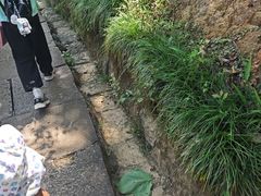 -灵栖洞天