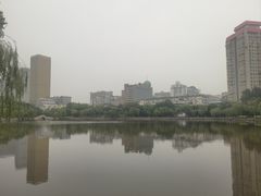-文瀛公园