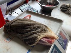 -龙上水现炒生料(柳沙店)