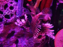 -沈阳海洋探索中心