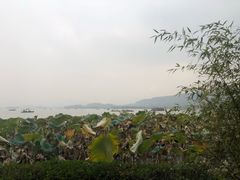 -湖畔居茶楼(湖滨店)