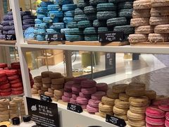 -LUSH(威尼斯人店)