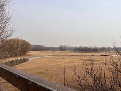 -北京麋鹿生态实验中心