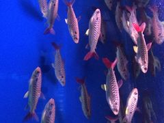 -乌鲁木齐海洋馆