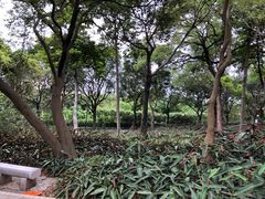 -云溪植物园