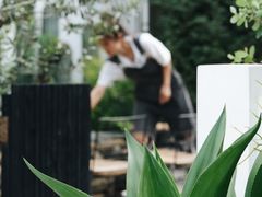 -自由生长植物工作室(深港花卉中心店)