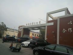 -金凤区第二小学
