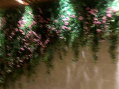-浅深(北京北四环精品店)