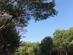 -广州雕塑公园
