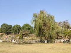 -雨花胜境