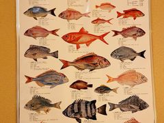 -镹·鱼料理  国产鱼使用店