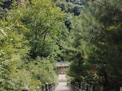 -藏山旅游风景区
