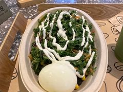 -油梨树AVOCADO TREE(嘉里中心店)