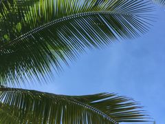 -白沙门生态公园