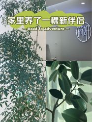 -HEYAN荷妍专业脱毛连锁机构