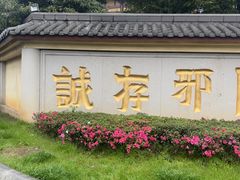 -庐山风景名胜区-东林大佛