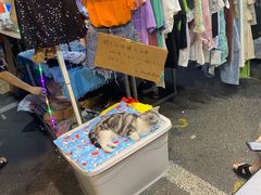 -吴山路夜市