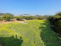 -长洲岛都市农业公园