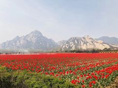 -嵖岈山风景区
