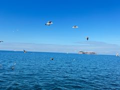 -海驴岛(荣成市)