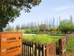 -前小桔亲子创意农场·草莓采摘·露营烧烤